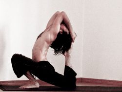 EKA PADA RAJA KAPOTASANA2