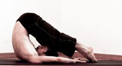 HALASANA
