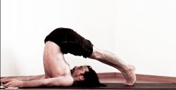 HALASANA