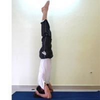 SHIRSHASANA SIRSASANA