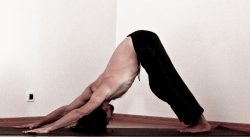 BHUDARASANA