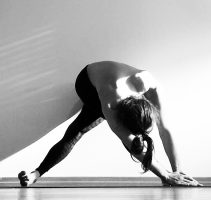 PARIVRITTA NAMASYA PRASARITA PADOTTANASANA