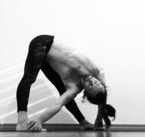 PARIVRITTA PRASARITA PADOTTANASANA