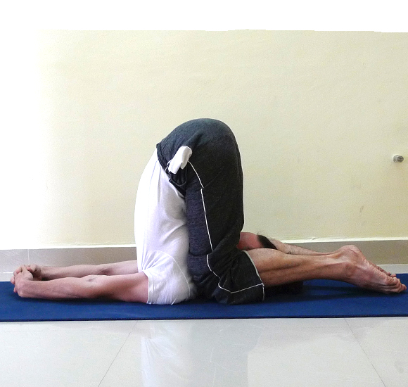 Calendario Maggio Hatha Yoga Tradizionale Beginners