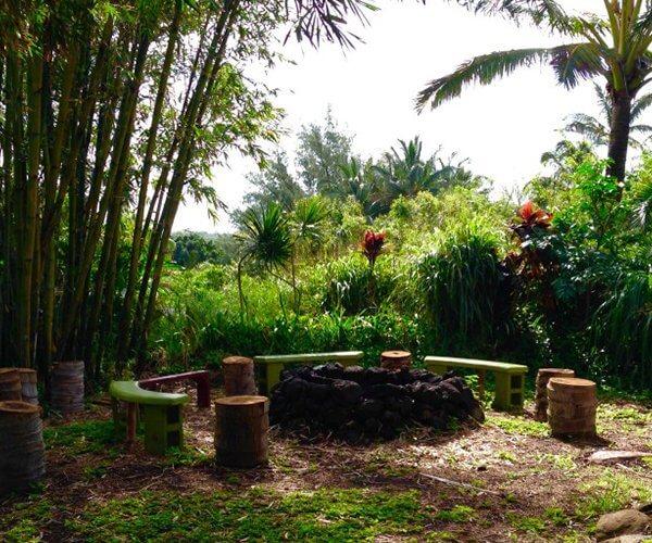 yoga retreat in india 2015