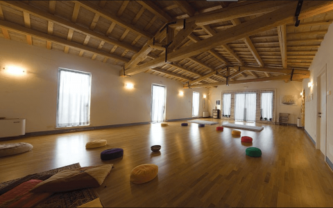 workshop hatha yoga e back bending con michele morbidelli