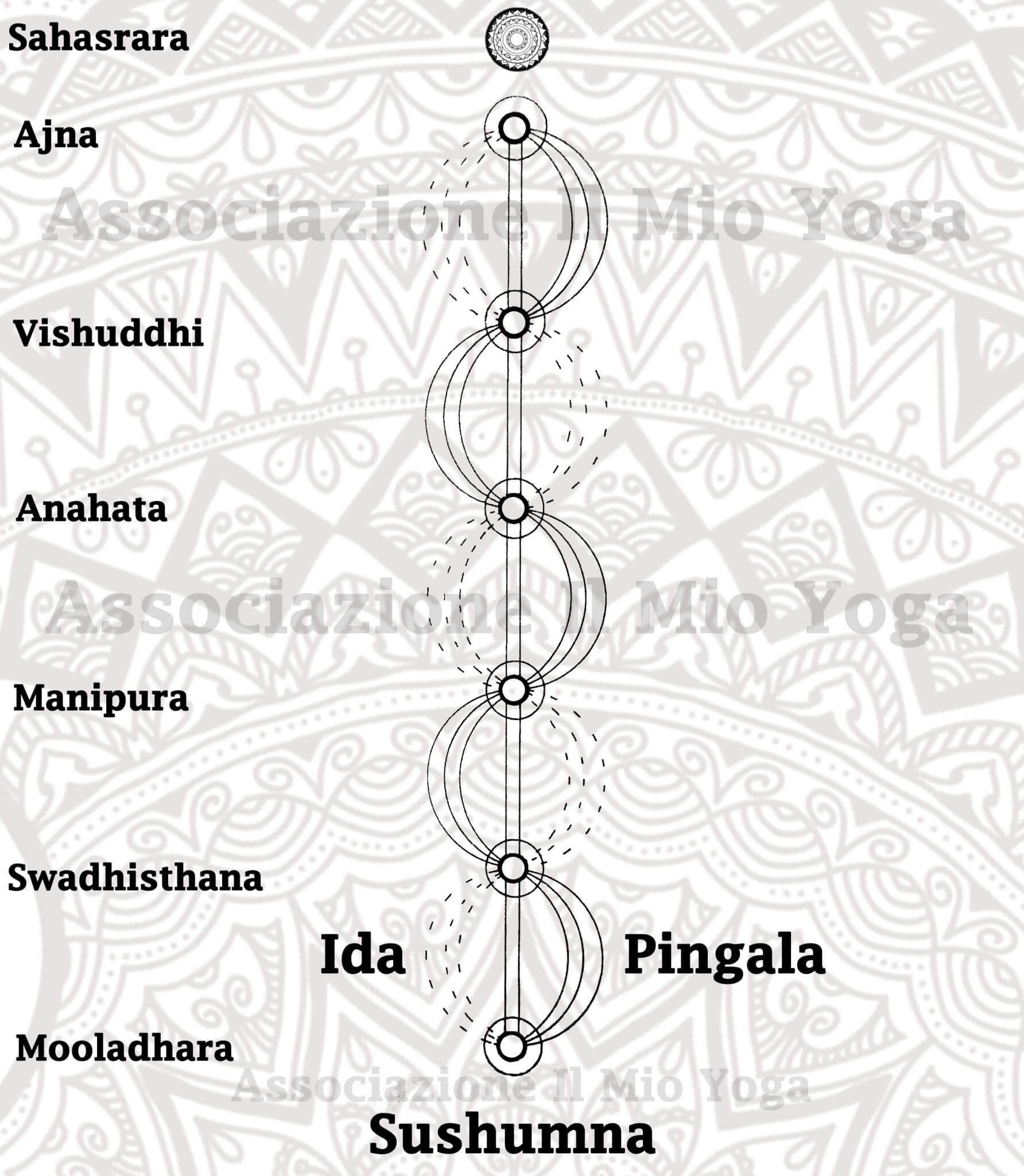 rapporto nadis chakra